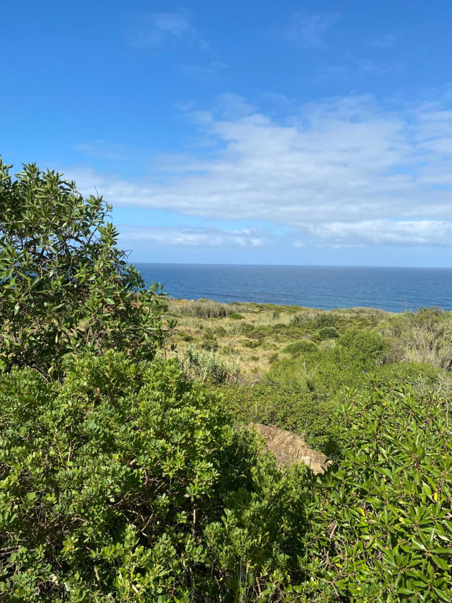 Casa Praia Do Sul エリセイラ エクステリア 写真